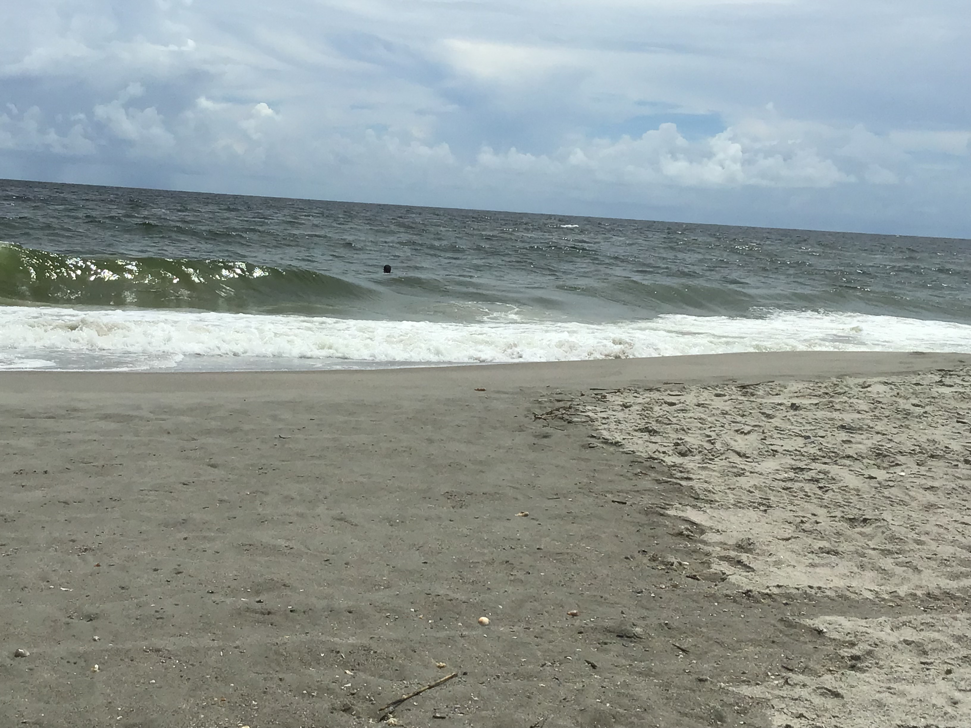 Boogie Boys Jack & Josh Curtis. Location:  Sandpiper Cottage, Oak Island, NC                                 Source: Julane Crabtree                                Date: 28 Jul 2023